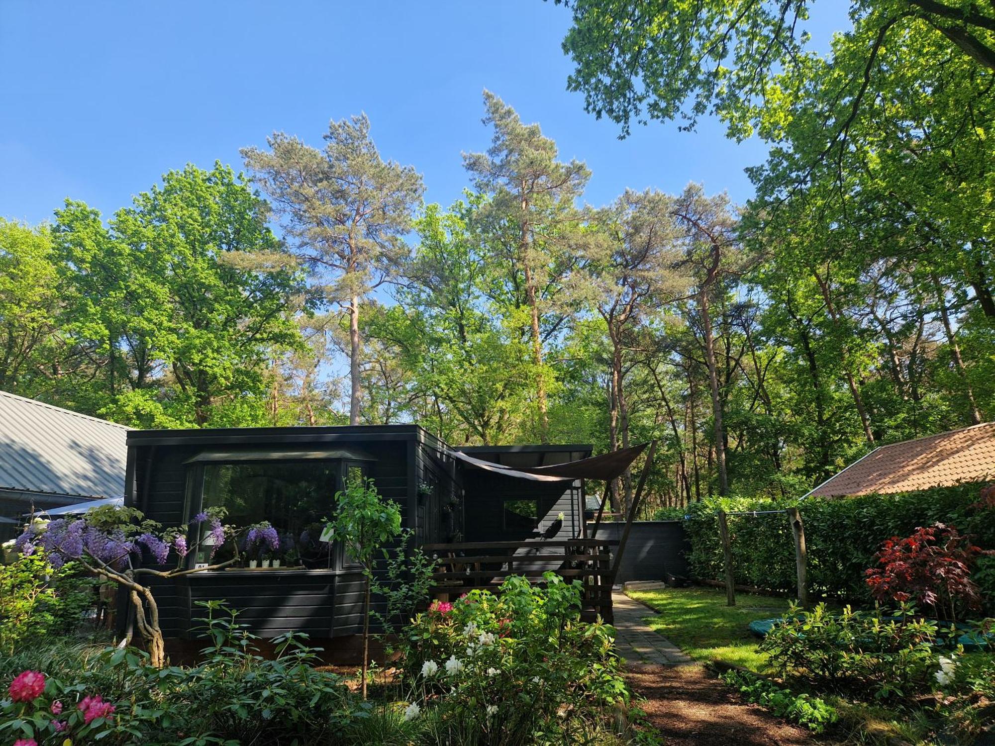 Heerlijk Huisje In Het Bos Op Chaletpark Kempenbos Diessen Exterior foto