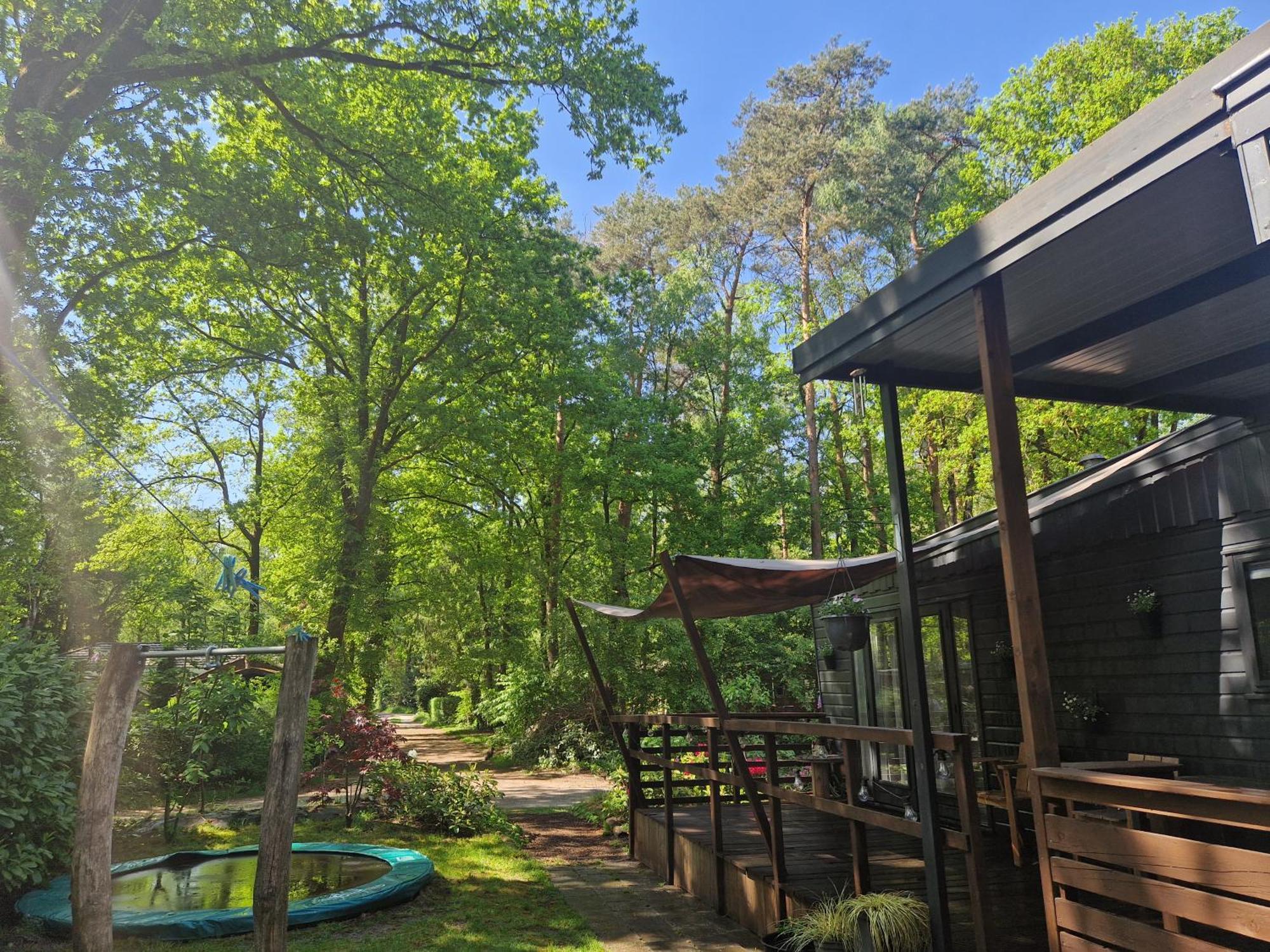 Heerlijk Huisje In Het Bos Op Chaletpark Kempenbos Diessen Exterior foto